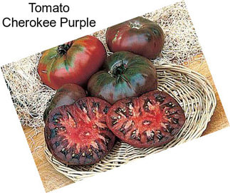 Tomato Cherokee Purple