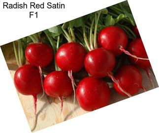 Radish Red Satin F1