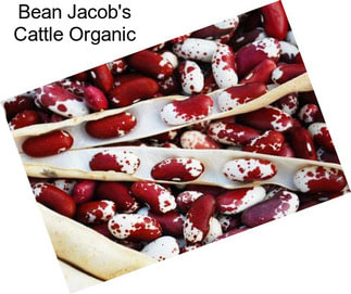 Bean Jacob\'s Cattle Organic