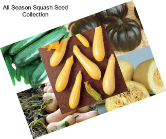 All Season Squash Seed Collection