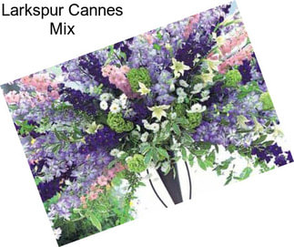 Larkspur Cannes Mix