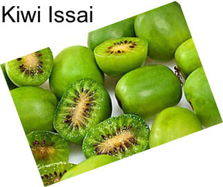 Kiwi Issai