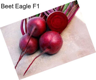 Beet Eagle F1