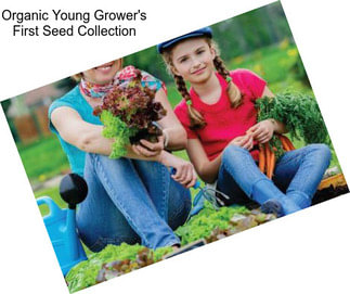 Organic Young Grower\'s First Seed Collection