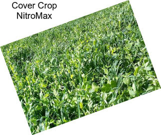 Cover Crop NitroMax