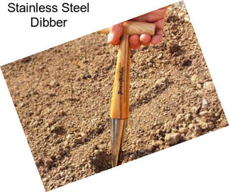 Stainless Steel Dibber