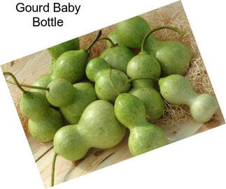 Gourd Baby Bottle