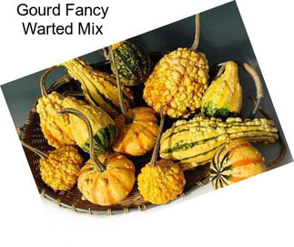 Gourd Fancy Warted Mix