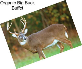 Organic Big Buck Buffet