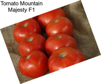 Tomato Mountain Majesty F1