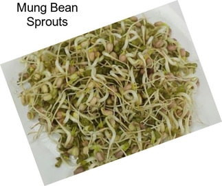 Mung Bean Sprouts