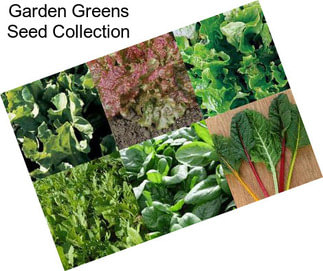 Garden Greens Seed Collection