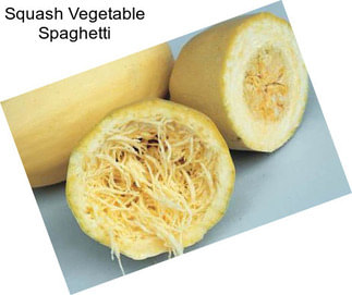 Squash Vegetable Spaghetti