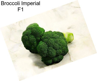 Broccoli Imperial F1