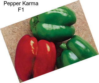 Pepper Karma F1