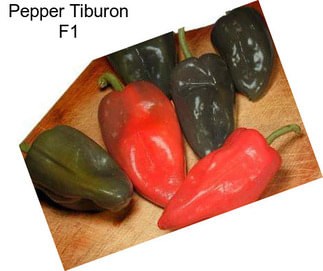 Pepper Tiburon F1