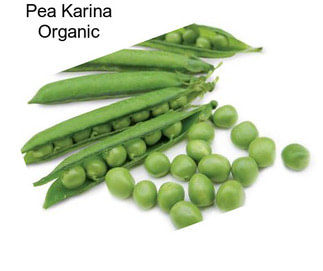 Pea Karina Organic