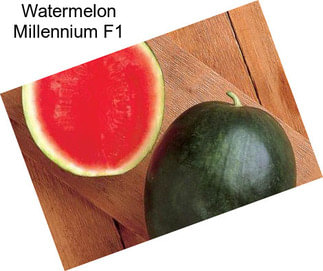 Watermelon Millennium F1