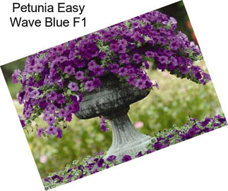 Petunia Easy Wave Blue F1