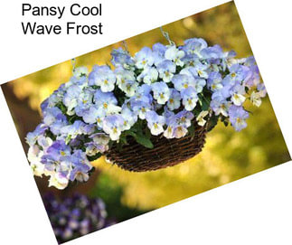 Pansy Cool Wave Frost