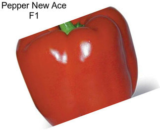 Pepper New Ace F1