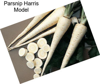 Parsnip Harris Model