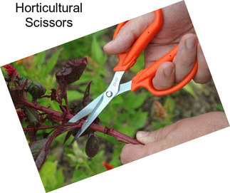 Horticultural Scissors