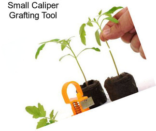 Small Caliper Grafting Tool