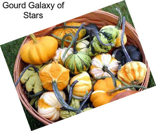 Gourd Galaxy of Stars