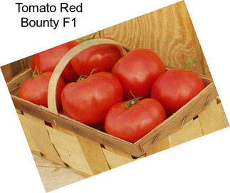 Tomato Red Bounty F1