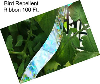 Bird Repellent Ribbon 100 Ft.