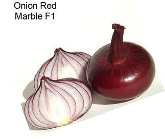 Onion Red Marble F1