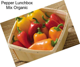 Pepper Lunchbox Mix Organic