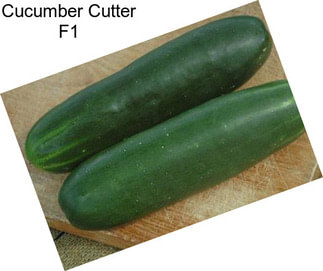 Cucumber Cutter F1