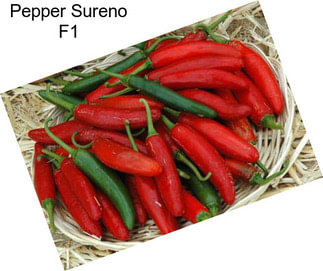 Pepper Sureno F1