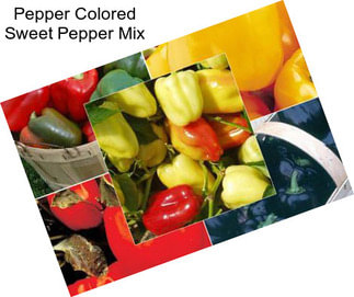 Pepper Colored Sweet Pepper Mix