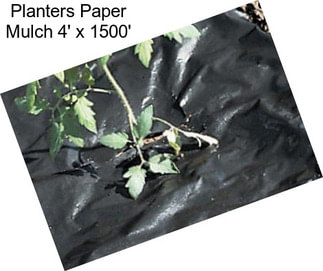 Planters Paper Mulch 4\' x 1500\'