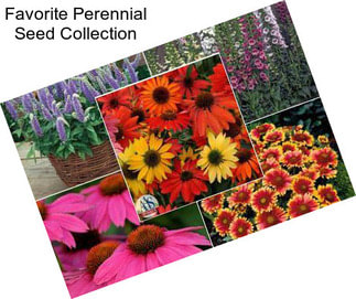 Favorite Perennial Seed Collection