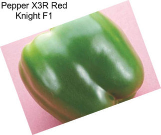 Pepper X3R Red Knight F1