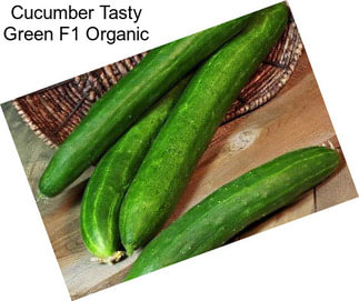 Cucumber Tasty Green F1 Organic