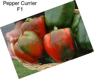 Pepper Currier F1