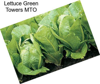 Lettuce Green Towers MTO
