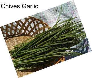 Chives Garlic