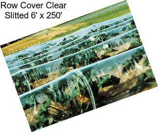 Row Cover Clear Slitted 6\' x 250\'