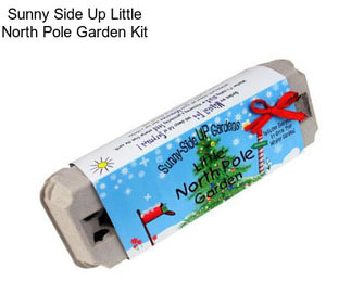 Sunny Side Up Little North Pole Garden Kit