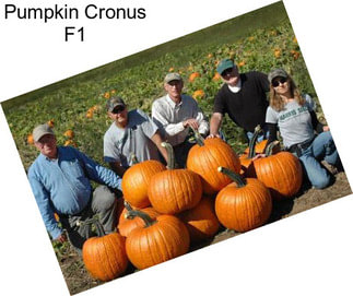 Pumpkin Cronus F1
