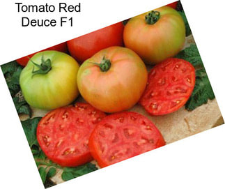 Tomato Red Deuce F1