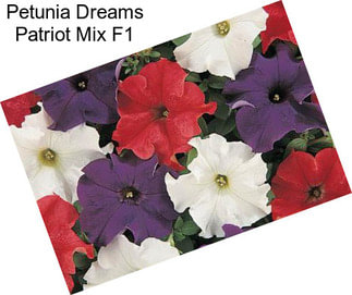 Petunia Dreams Patriot Mix F1