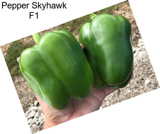 Pepper Skyhawk F1