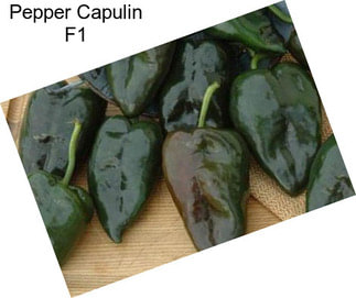 Pepper Capulin F1